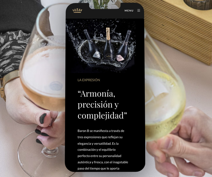 sitio_baronB_mobile